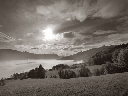 Nebel im Rheintal